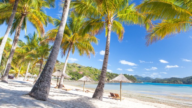Hamilton Island