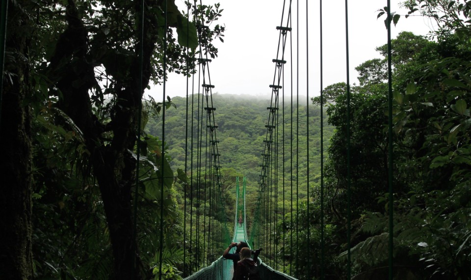 La Monteverde Cloud Forest | 11 fatti del Costa Rica