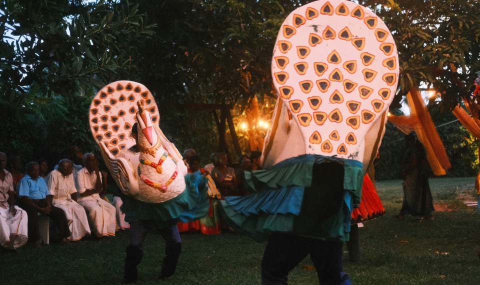 La Mayura Natuma, la tradizionale "Danza del Pavone" dello Sri Lanka
