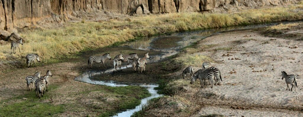 Visto Tanzania Online