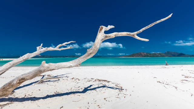 Whitehaven Beach Whitsunday Island