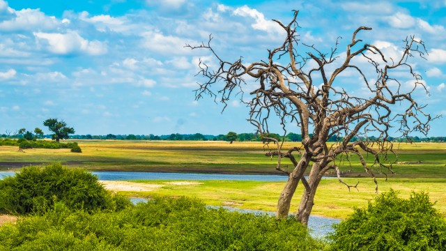 Chobe National Park