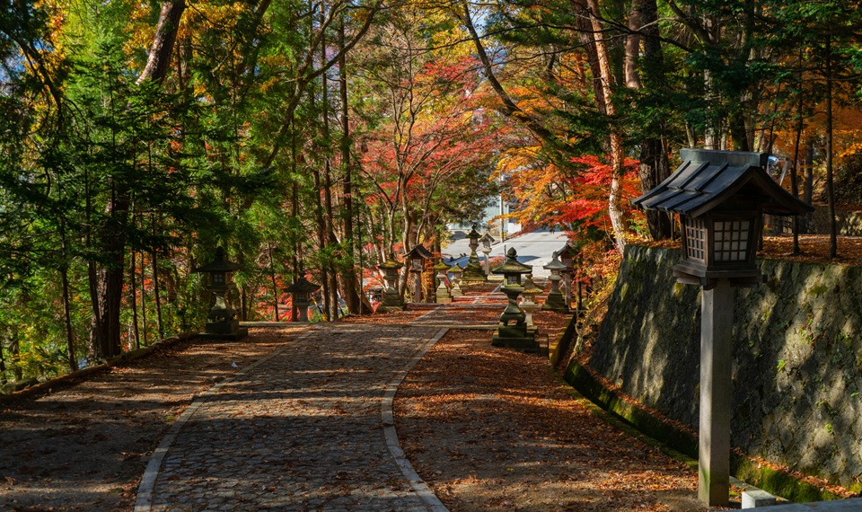 I panorami durante il Momijigari | Giappone Momijigari