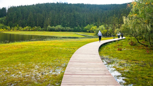 Parco Naturale Pudacuo | Yunnan Cina