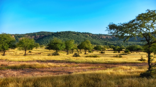 Ranthambore National Park | Tour India Holi Festival