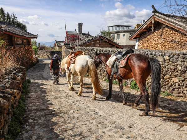 Scoprire la cultura Naxi nel villaggio di Yuhu