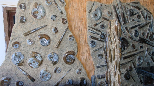 Fossili di Erfoud | Marocco Viaggi in Famiglia