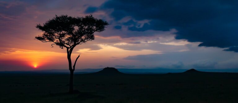 Kenya Safari e Mare