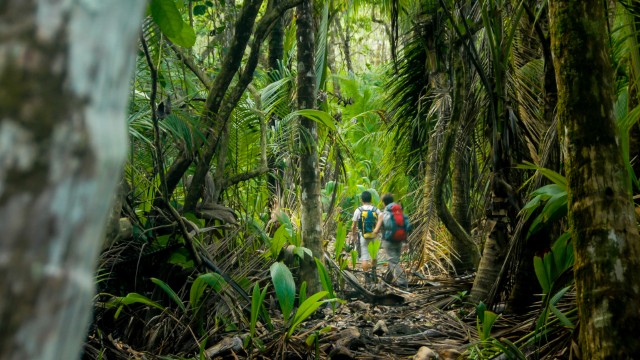 Escursione nel Corcovado National Park | Itinerario Costa Rica