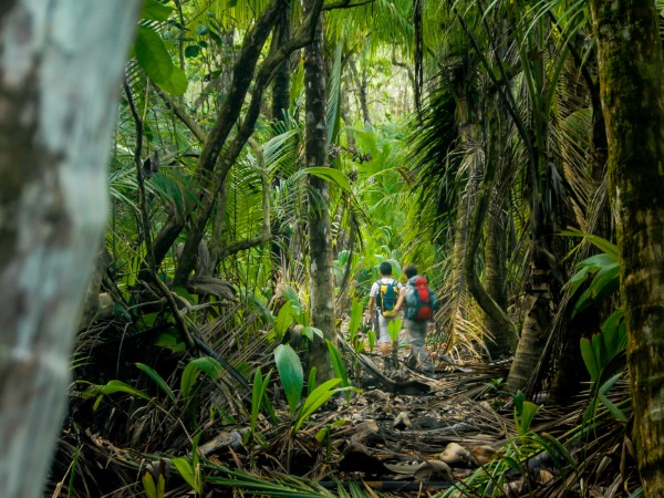 Trekking nel Corcovado | Costa Rica Viaggio