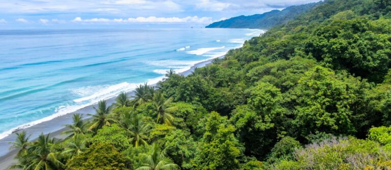 Costa Rica Wild | Itinerario Costa Rica