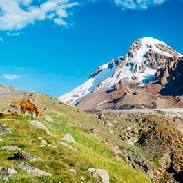 Monte Kazbek | Viaggiare Georgia