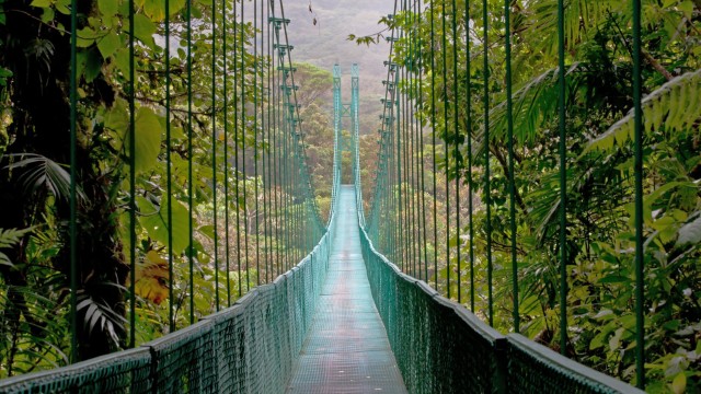 Ponte sospeso a Monteverde | Itinerario Costa Rica