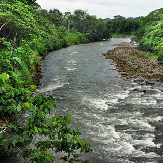 Sarapiquí