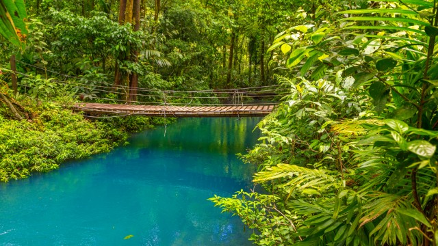 Passerella sul Río Celeste nel Tenorio National Park | Itinerario Costa Rica