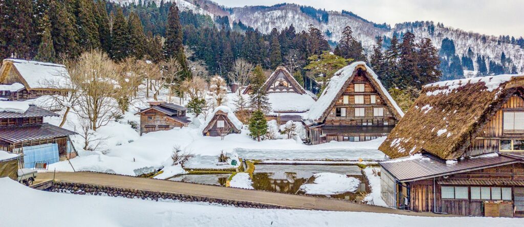 Tour Giappone Snow