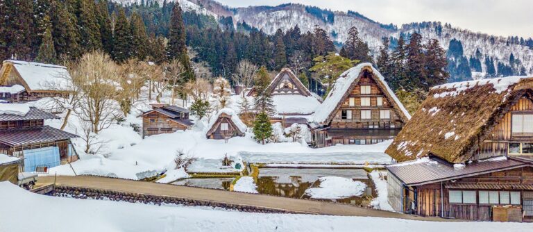 Tour Giappone Snow